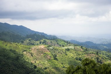 Sky and hilly horizon photography with thick clouds. Beautiful landscape mountain view with green forest. Hilltop aerial view with a drone with a foggy environment photo.