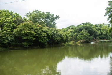 Beautiful rural river flow with tropical forest area. River flow photograph with green trees and cloudy sky. Village river flow view with resort building and bridge. Water Flow photo with hilly forest