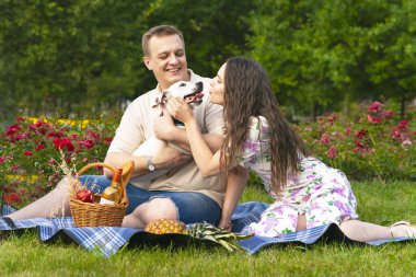 Mutlu bir aile, bahçede piknik yapan genç bir çift. Sevgili kadın ve erkek, köpekleri Jack Russell Terrier ile çimlerin üzerinde.