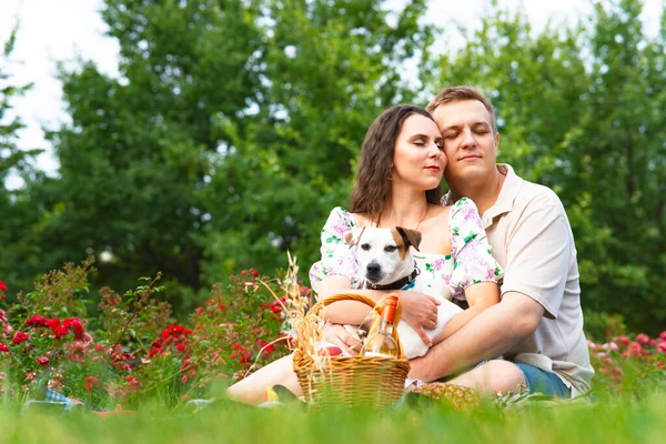 Romantik bir aile, bahçede piknik yapan genç bir çift. Sevgili kadın ve erkek, köpekleri Jack Russell Terrier ile çimlerin üzerinde.