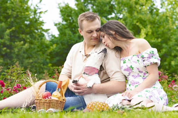 Romantik bir aile, bahçede genç bir çift. Piknikte. Sevdalı bir kadın ve çimlerin üzerinde bir adam.