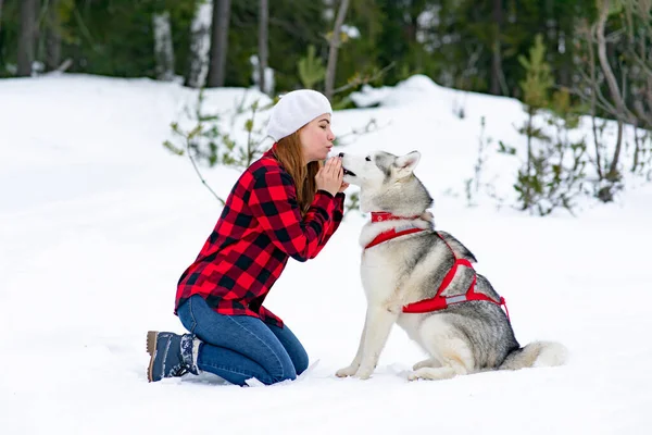 Husky köpeğini öpen bir kadın. Mutlu, genç bir kadın evcil hayvanıyla kış ormanında yürüyor. — Stok fotoğraf