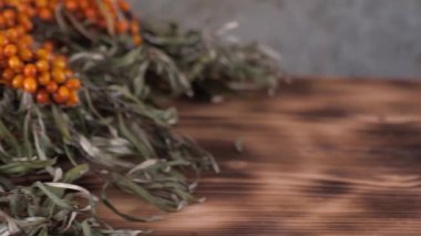 Deniz dikenli çalı koleksiyonu. Çalılıklarda Buckthorn çilekleri. Büyük portakal rengi sabun çileği. Olgun Buffaloberry Hasadı. ahşap ve beton arkaplan.