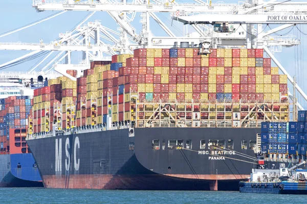 Oakland, CA - 9 Mayıs 2022: Kargo gemisi MSC BEATRICE ABD 'nin en işlek beşinci limanı Oakland Limanı' nda yükleniyor.