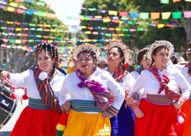San Francisco, CA - 29 Mayıs 2022: Mission District 'teki 44. Geleneksel Karnaval Büyük Geçit Töreni' nin bu yılki teması Colores de Amor. Ayrıcalık, Aile ve Topluluk.