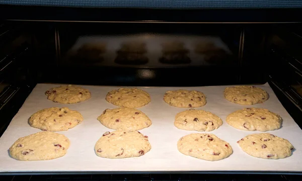 Nahaufnahme Von Hausgemachten Preiselbeeren Haferflocken Plätzchen Die Heißen Ofen Gebacken — Stockfoto