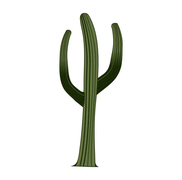 Saguaro Cactus Format Gambar Desain Kartun Vektor Eps Cocok Untuk - Stok Vektor
