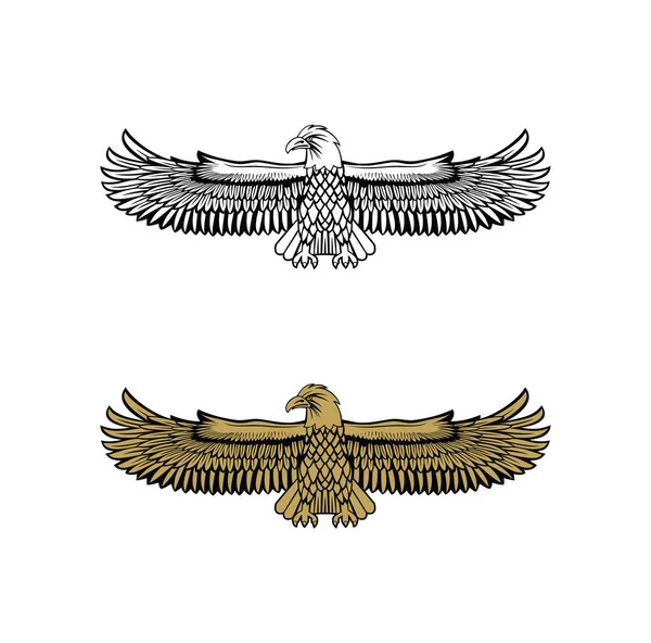 United State Marine Corps Eagle Ega Design Illustration Vector Eps — Stock Vector