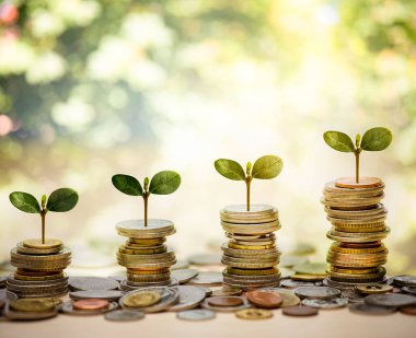 Para yığını ve yaprak ve çizgi çizgisi iş bağlantıları doğa arka planı, tasarruf fikirleri ve yatırım bütçesi, iş tasarruf para konsepti, gelecek için hazırlık para tasarrufu.