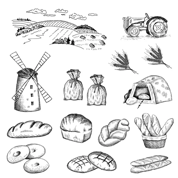 Cultivation of wheat and bread baking — Stock Vector