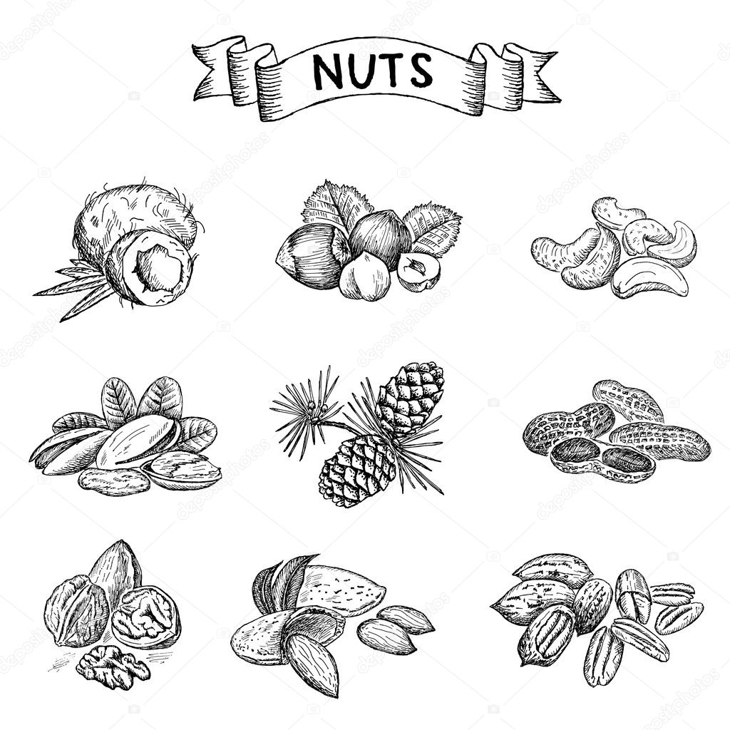 Nuts set