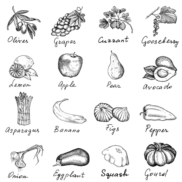 Top Ten Meyve Tabagi Cizimi Karakalem Kolay