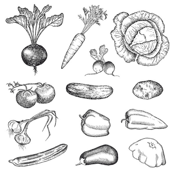 овощи набор
