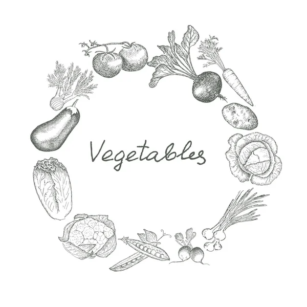 Conjunto de verduras — Vector de stock