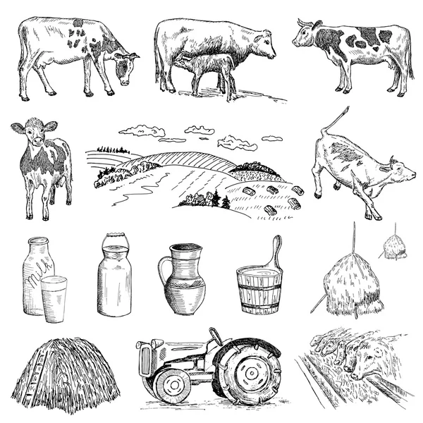 Cow and milk Stock Vector