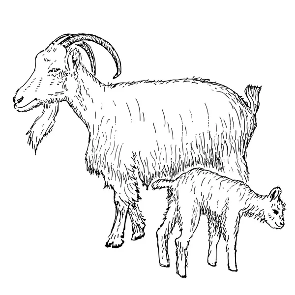 山羊与孩子 — 图库矢量图片