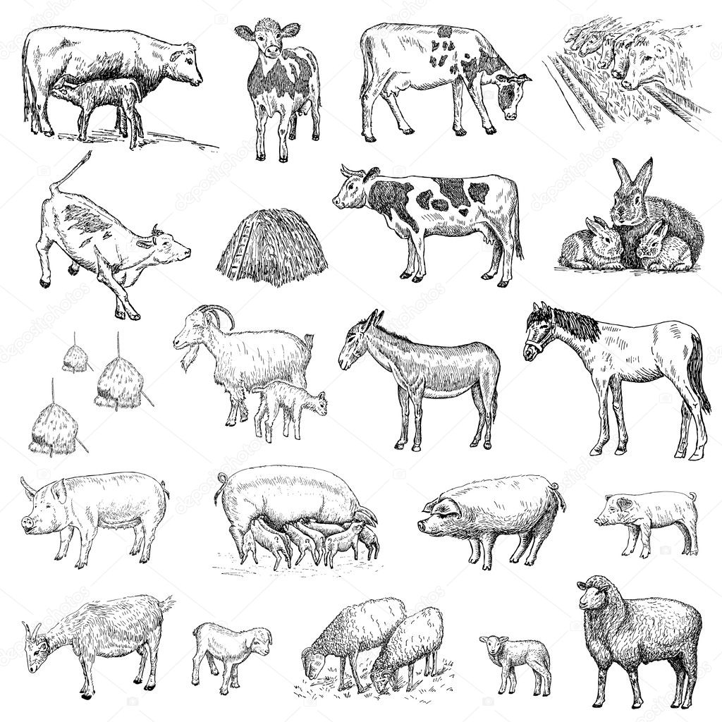 Mammals Hands Drawing Stock Vector By lenaalyonushka 49144223 mammals-hands-drawing-stock-vector-by-lenaalyonushka-49144223