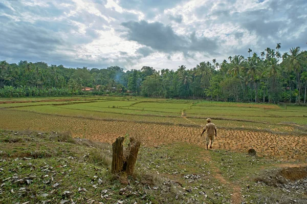 Jun2014 Farmer Farm Walk Way Magot Village Yellapur Uttara Kannada — Stock Fotó