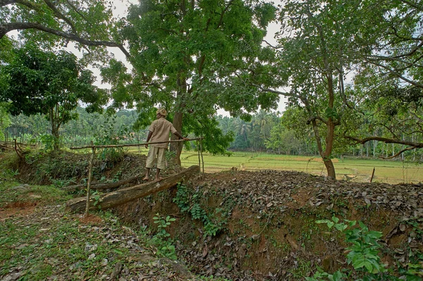 Giugno 2014 Farmer Crossing Makeshift Ponte Legno Magot Village Yellapur — Foto Stock