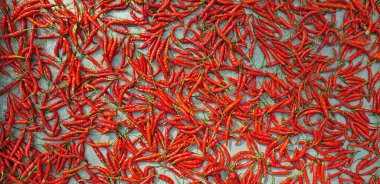 103 2021 Parlak Kırmızı Biber Kurutulmuş Diveagar Raigad Bölgesi Maharashtra Hindistan