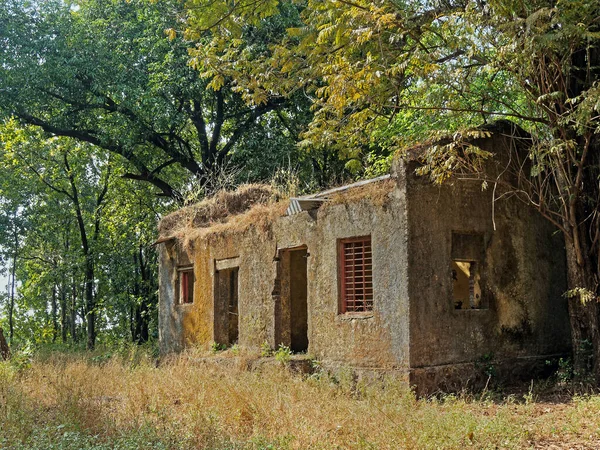 2021 Plantas Que Cobrem Edifício Abandonado Floresta Dame Side Musai — Fotografia de Stock