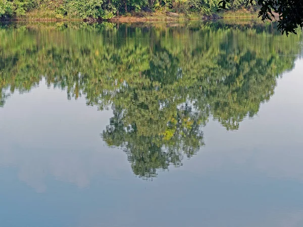 2021 Trees Reflecting Ripeled Lack Water Dame Side Musai Village — Stock Photo, Image