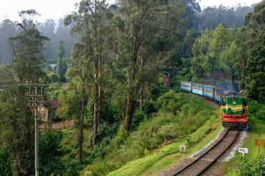 10 26 2009 Nilgiri Dağı treni Lovedan İstasyonu yakınlarında. UNESCO Dünya Mirasları sitesi Tamil Nadu.Hindistan