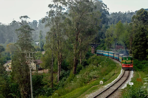 2009 Nilgiri Tren Montaña Cerca Estación Lovedan Rmn Patrimonio Humanidad — Foto de Stock