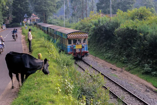 2009 Nilgiri Treno Montagna Vicino Alla Stazione Lovedan Nmr Patrimonio — Foto Stock