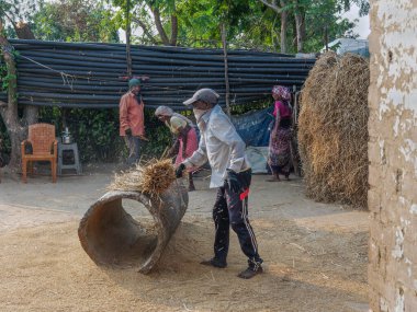 Geleneksel pirinç hasadını gösteren Motion Excen fotoğrafında 11 14 2021, Shahpur Maharashtra Hindistan yakınlarındaki Ghartan Village Mussai 'yi harap eden adamlar..