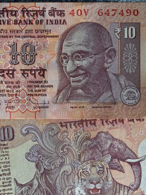 02 13 2022 Mahatma Gandhi 'nin Yüzü ve gergedan ve kaplanın ters tarafı 10 rupi bankasında resmedilmiş 10 rupilik Hint parası. Stüdyo Vuruşu Kalyan Maharashtra Hindistan.