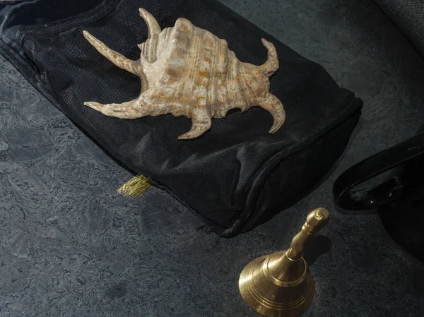 2022年2月21日海蜘蛛海螺壳在黑色背景工作室拍摄Kalyan Maharashtra India — 图库照片