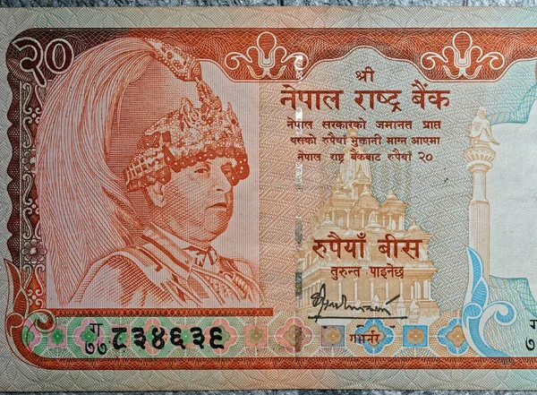 2022 Rupias Veinte Banco Nota Rupias 1988 Janakpur Templo Ciervos — Foto de Stock
