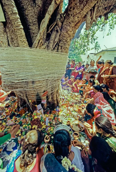 Evli Hintli Kadınlar Vat Savitri Puja Trambkeshwar Hindistan Yakınlarındaki Kutsal — Stok fotoğraf