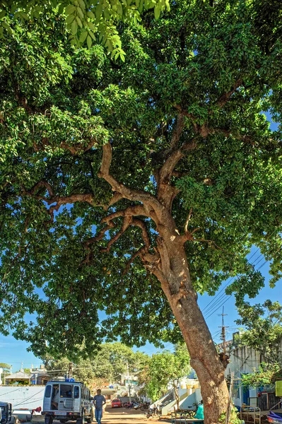 2010 Parkplatz Unter Einem Riesigen Baum Bei Nanak Jhira Gurudwara — Stockfoto