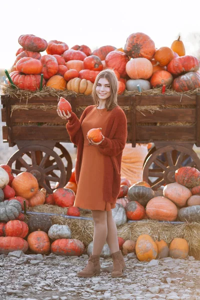 Ritratto di donna felice sorridente con piccole zucche arancioni mature in mano vicino al carro di legno sul mercato contadino in cardigan marrone, vestito. Accoglienti vibrazioni autunnali Halloween, giorno del Ringraziamento — Foto Stock