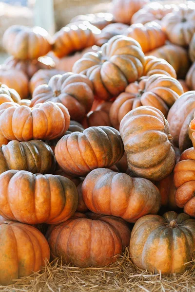 Stack lot of Autumn scenic pumpkins at outdoor farmers market on straw ground on display for sale ready for Halloween — Stock Photo, Image