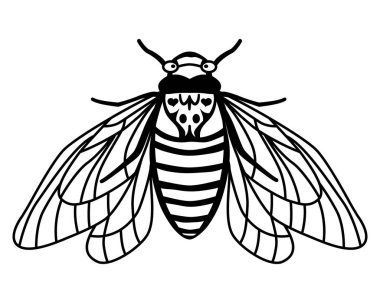 Cicada Brood X periyodik çizimi. Kanatları açık bir böcek. Doğrusal stil. Uçan bir ağustos böceğinin silueti. Yaz baskısı. Beyaz arkaplanda vektör çizimi izole edildi. Ağustos Böceği