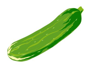 Salatalık. Olgun yeşil sebze, çizgi film stili, büyük çizimler. Kuyruklu bir salatalık. Beyaz arkaplanda vektör çizimi izole edildi. Menü elementi, afiş, poster. Salatalık sembolü