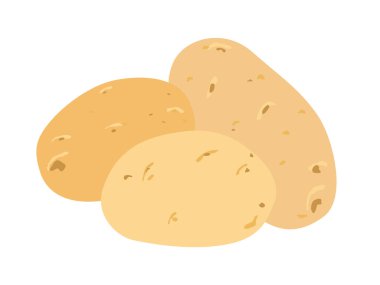 Patates. Birkaç tutam patates. Kabuklu çiğ sebze. Taze patatesler sarı-kahverengidir. Beyaz arkaplanda vektör çizimi izole edildi. Fırça boyası çizimi. Ürün tasarım ögesi