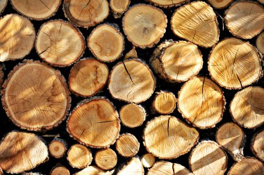 Wood For Winter clipart