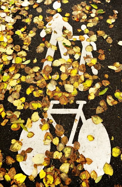 Fiets en voetgangers lane in de herfst — Stockfoto