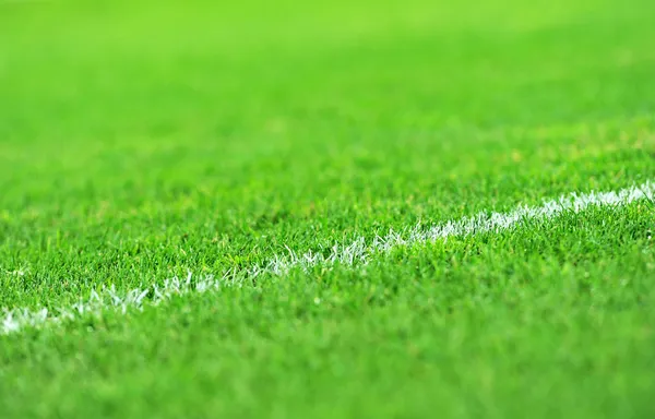 Turf Soccer Field — Stock Photo, Image