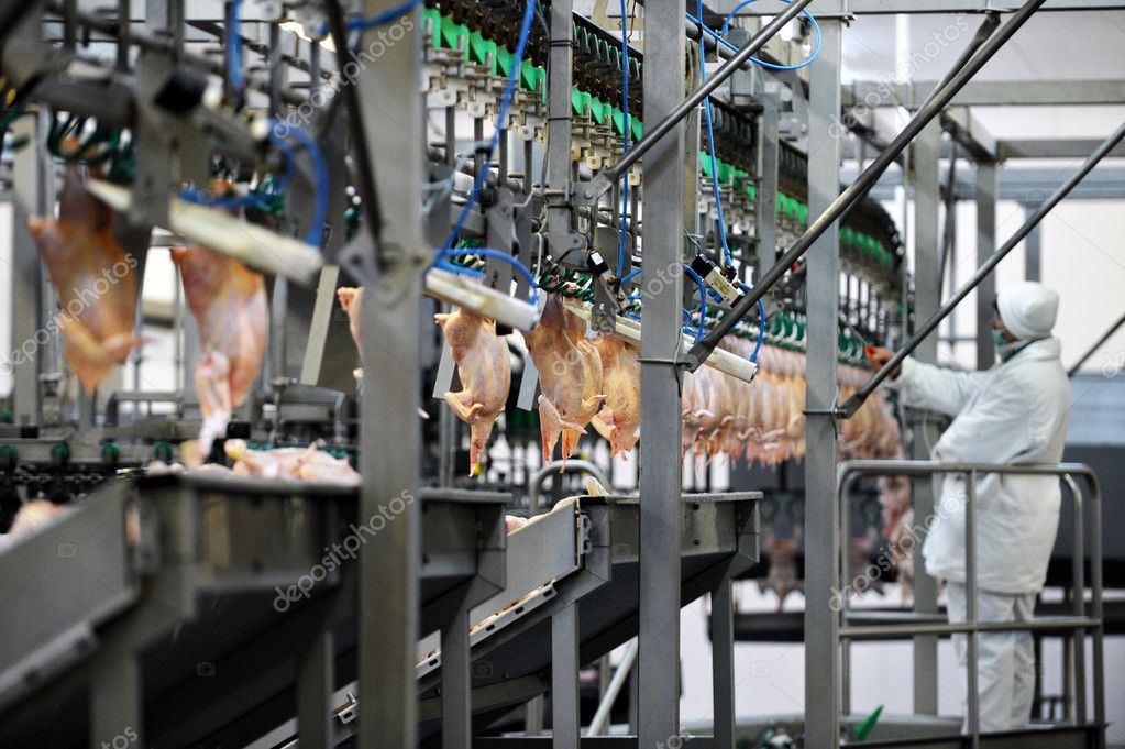 Poultry Meat Processing — Stock Photo © roibu 35593659
