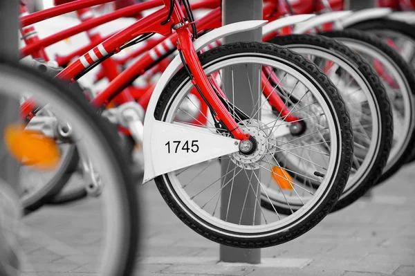 Rent A Bike — Stock Photo, Image