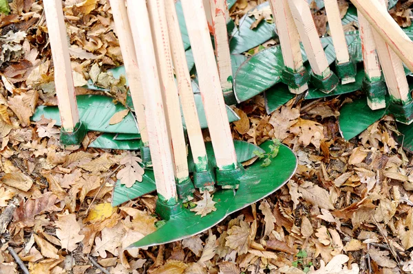 Green Hoes — Stock Photo, Image