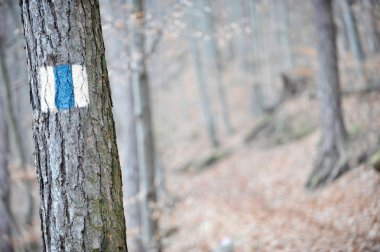 Mavi çizgili işaretleme