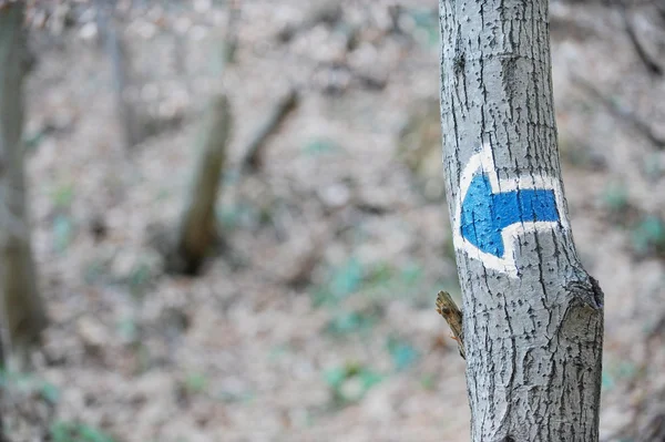 Blue arrow marking — Stock Photo, Image