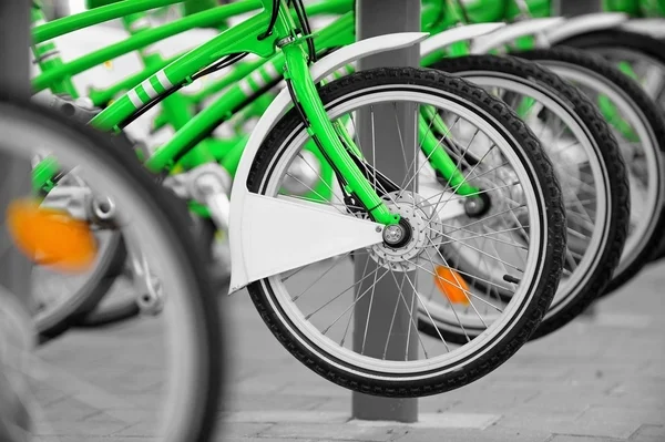 Alugar uma bicicleta verde — Fotografia de Stock