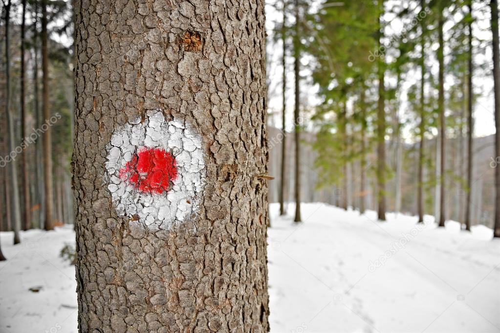 Red dot hiking sign on a tree